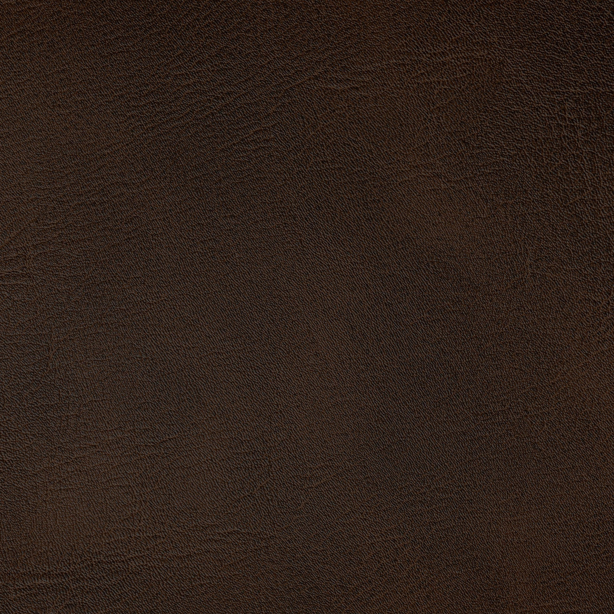 Kravet SPUR JAVA Upholstery Fabric