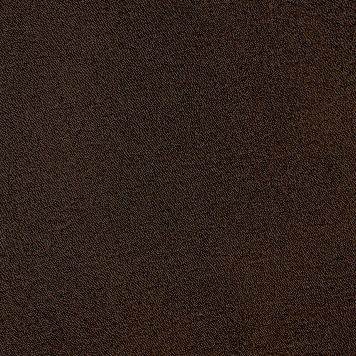 Kravet SPUR JAVA Upholstery Fabric