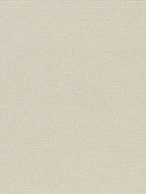 Scalamandre Arena Beach Sand Fabric