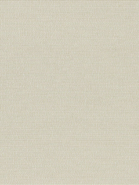 Scalamandre Arena Beach Sand Fabric