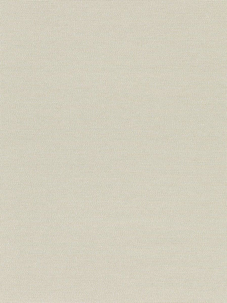 Scalamandre Arena Beach Sand Fabric