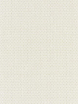 Scalamandre Candelaria White Sand Fabric