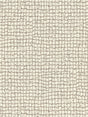 Scalamandre Troya Beach Greige Fabric