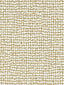 Scalamandre Troya Beach Gold Fabric