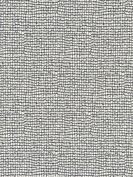 Scalamandre Troya Beach Navy Fabric