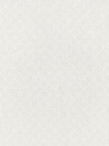 Scalamandre Las Vistas Sheer White Fabric
