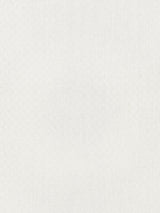Scalamandre Las Vistas Sheer White Fabric