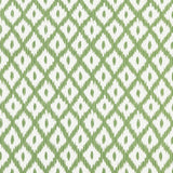 Kravet PITIGALA GREEN Upholstery Fabric