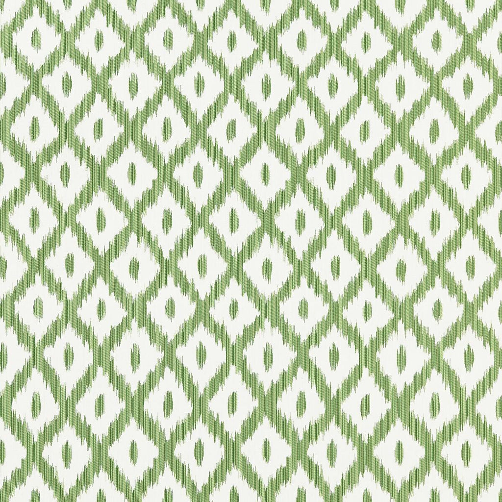 Kravet PITIGALA GREEN Fabric