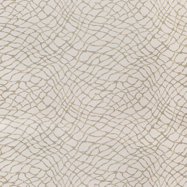 Kravet HAWSER DUNE Upholstery Fabric