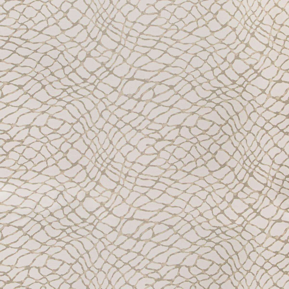 Kravet HAWSER DUNE Fabric