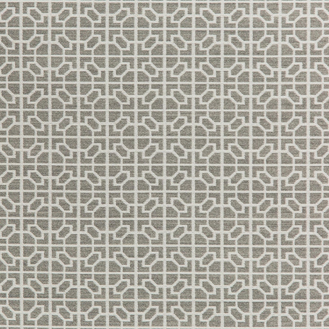 Kravet RAIA STONE Upholstery Fabric