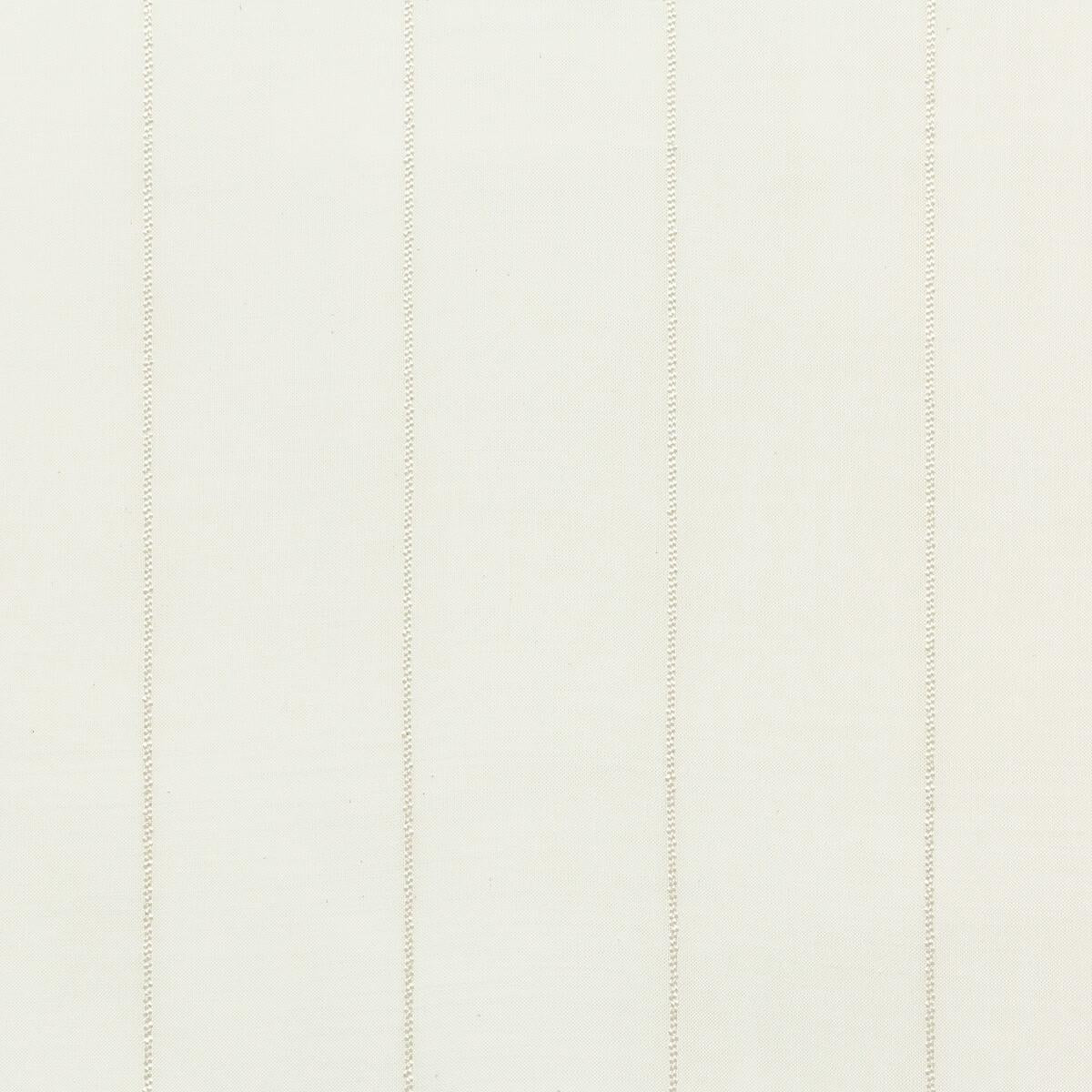 Kravet 4756 101 Fabric