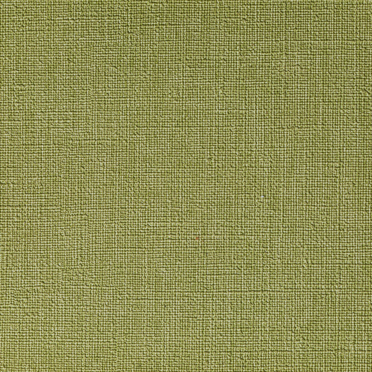 Kravet CASLIN MEADOW Upholstery Fabric