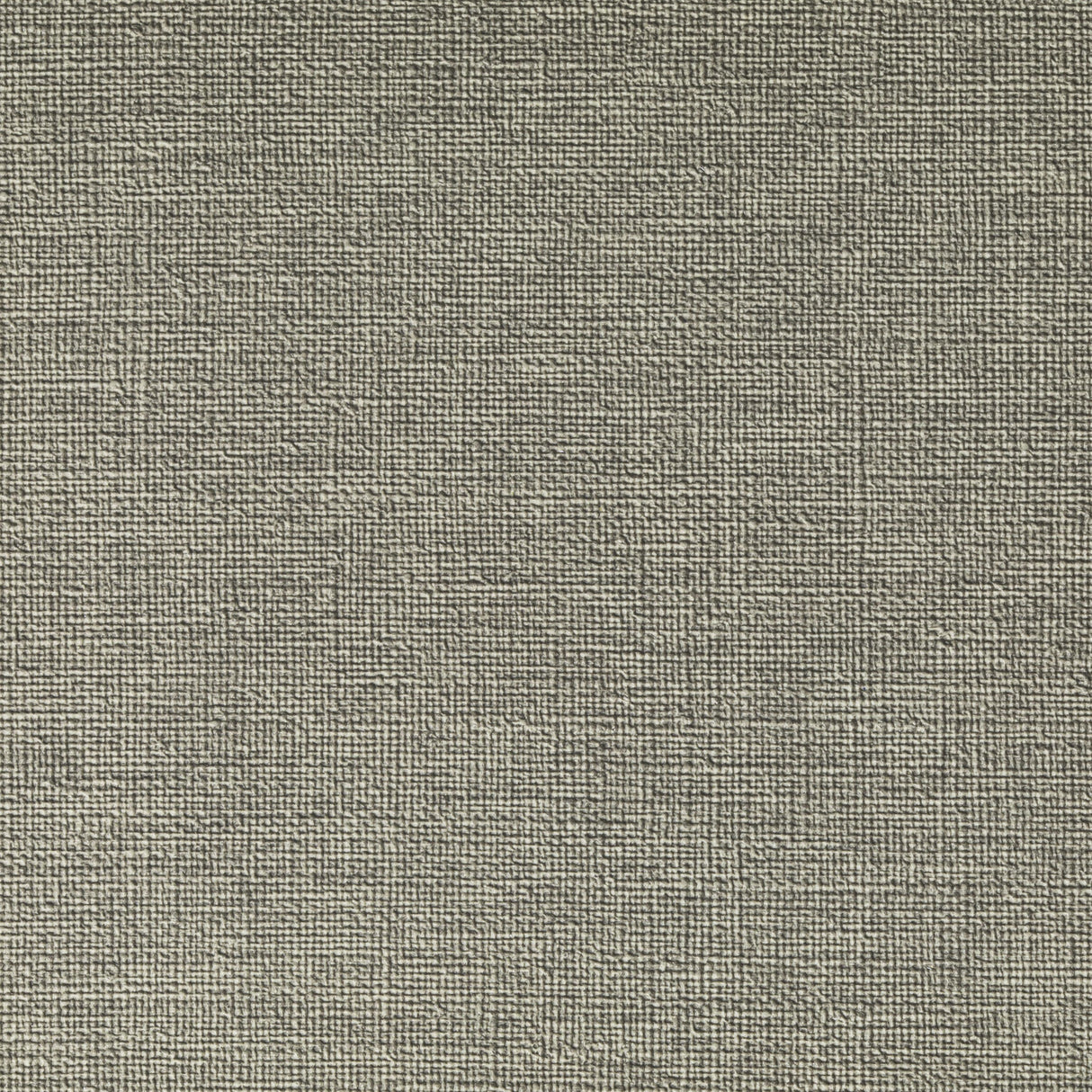 Kravet CASLIN HEMP Upholstery Fabric