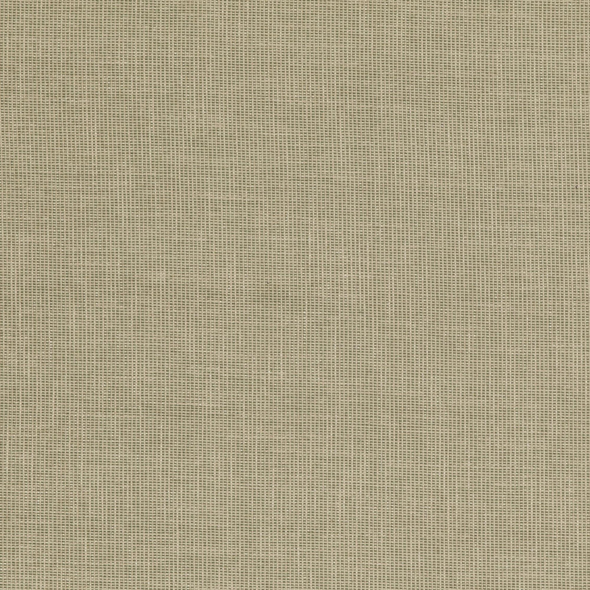 Baker Lifestyle FOLLY GREEN Upholstery Fabric