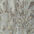 Winfield Thybony ABALONE FROSTP Wallpaper