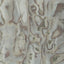 Winfield Thybony ABALONE FROSTP Wallpaper