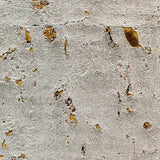 Winfield Thybony SEVILLE ANTIQUE SILVERP Wallpaper