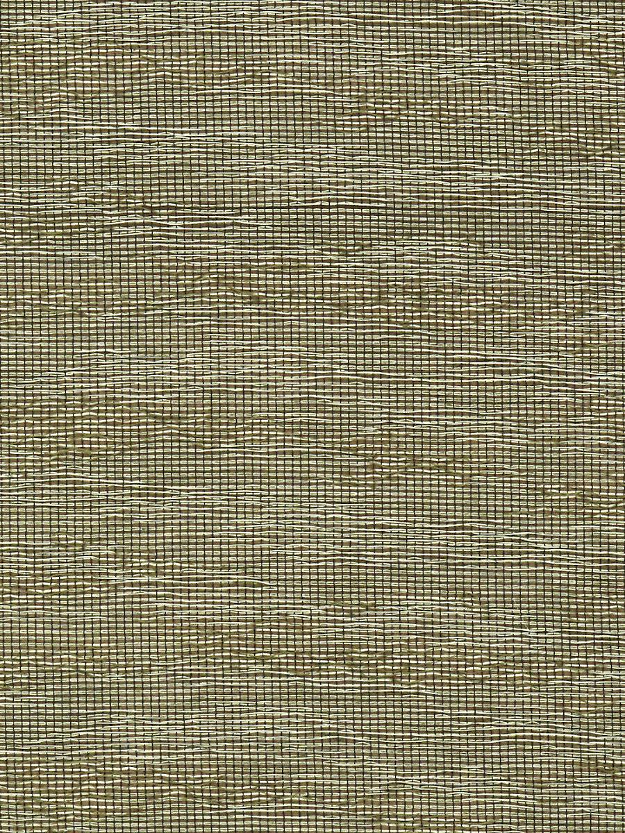 Scalamandre Untitled Sheer Espresso Fabric