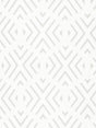 Scalamandre Reina Sheer Moonbeam Fabric