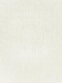 Scalamandre Sora Sheer Pearl Fabric