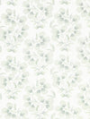 Scalamandre Hana Embroidery Eucalyptus Fabric