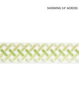Scalamandre Parquet Velvet Tape Meadow Trim