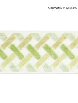 Scalamandre Parquet Velvet Tape Meadow Trim