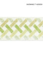 Scalamandre Parquet Velvet Tape Meadow Trim