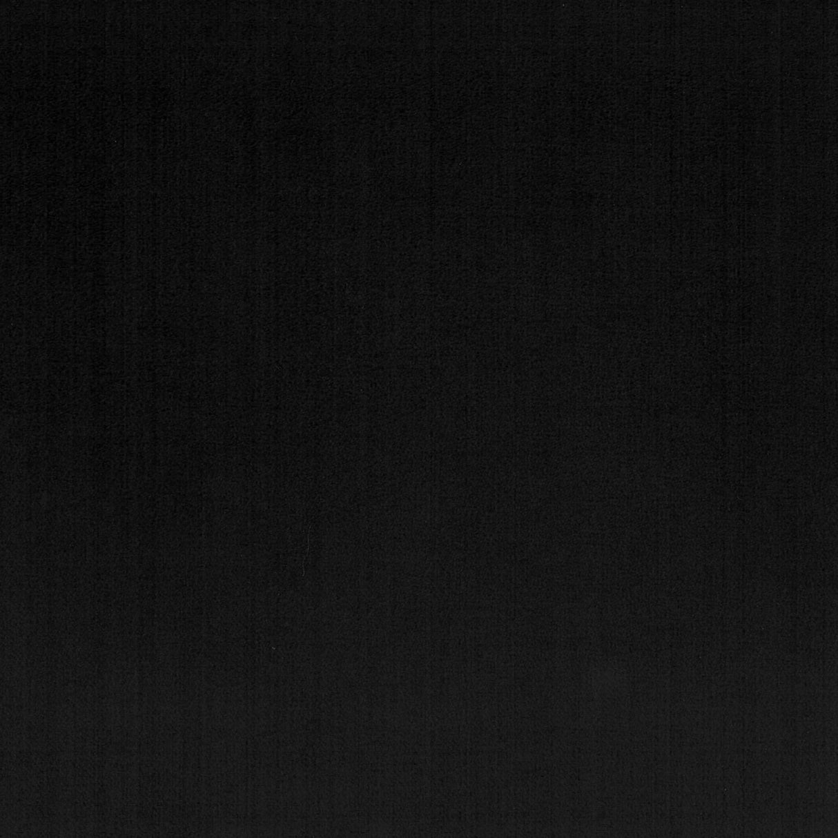 Stout PREMIER COAL Fabric