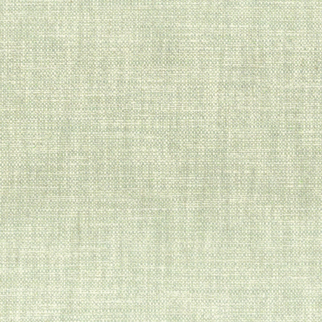 Stout OBTAIN VAPOR Fabric