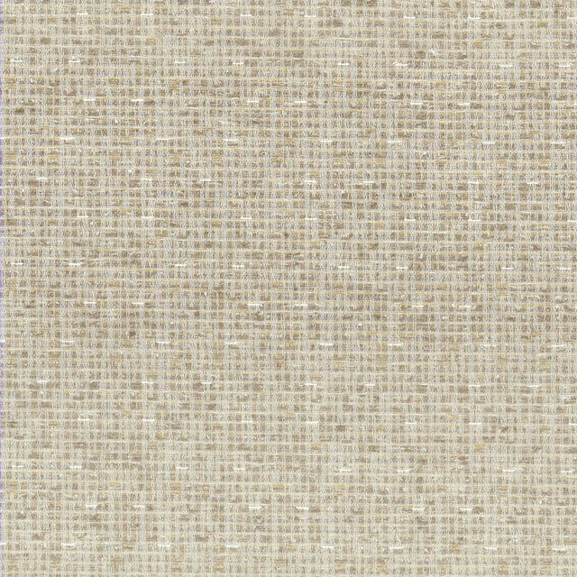 Stout GORTHAM RAFFIA Fabric