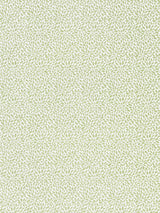 Scalamandre Risa Weave Fern Fabric