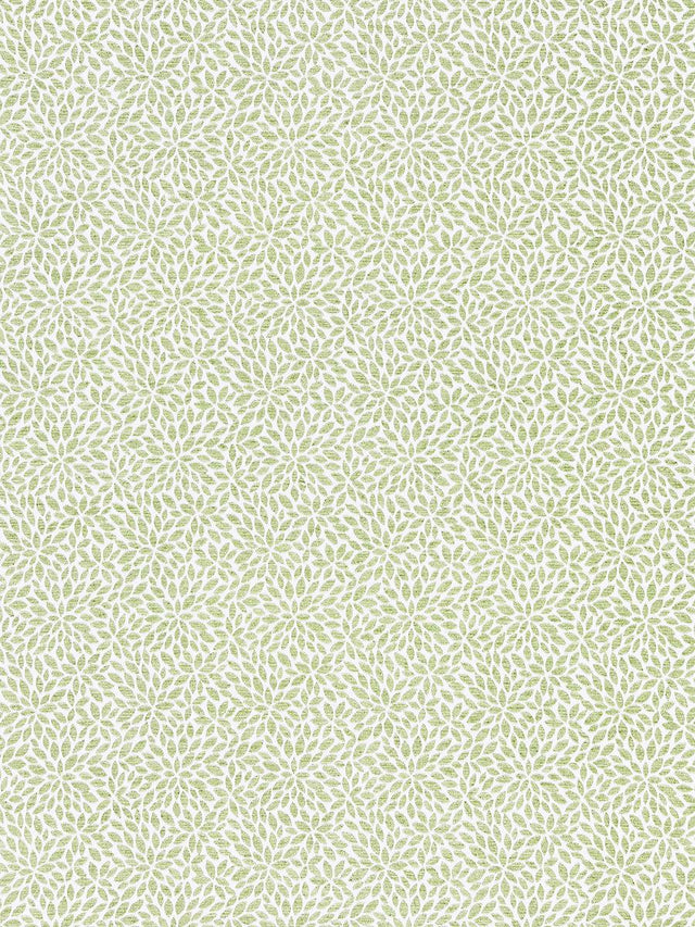 Scalamandre Risa Weave Fern Fabric
