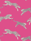 Scalamandre Leaping Cheetah Bubblegum Wallpaper