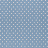 Stout GIGGLE CHAMBRAY Fabric