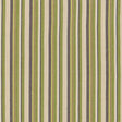 Schumacher Kiawah Stripe Vert Fabric