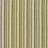 Schumacher Kiawah Stripe Vert Fabric