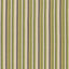 Schumacher Kiawah Stripe Vert Fabric