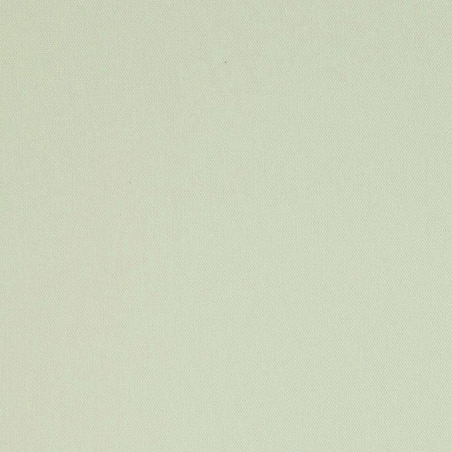 Schumacher Elliott Brushed Cotton Chamois Fabric