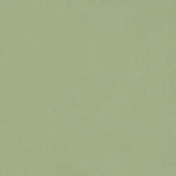 Schumacher Blake Polished Cotton Moss Fabric