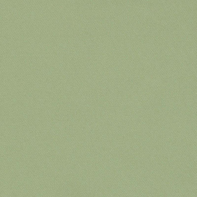 Schumacher Blake Polished Cotton Moss Fabric