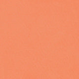 Schumacher Blake Polished Cotton Mandarin Fabric