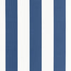 Schumacher Geyer Stripe Water Fabric