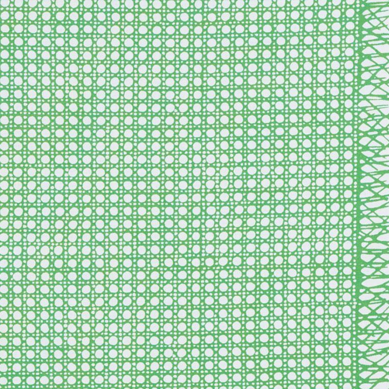 Schumacher Sugar Cane Green Fabric