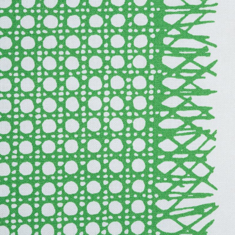 Schumacher Sugar Cane Green Fabric