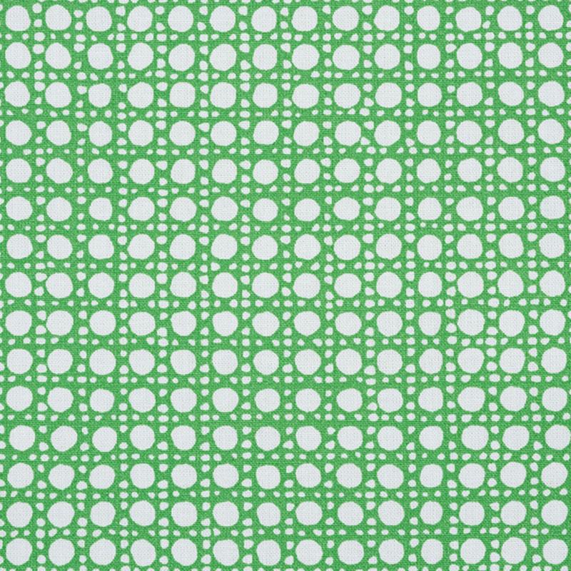 Schumacher Sugar Cane Green Fabric