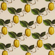 Schumacher Le Citron Natural Fabric