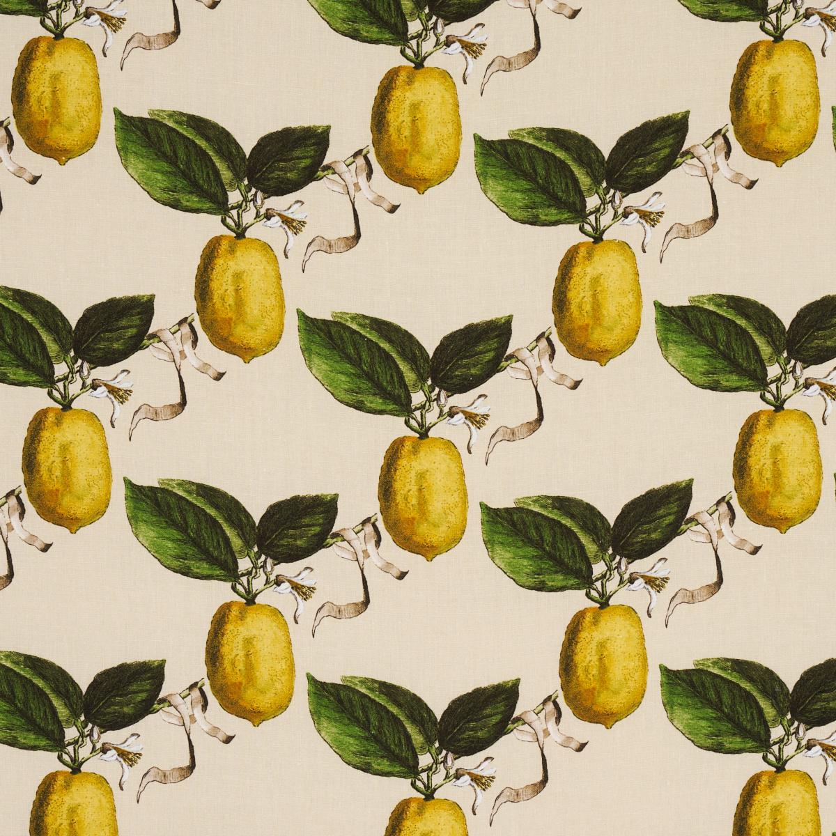Schumacher Le Citron Natural Fabric